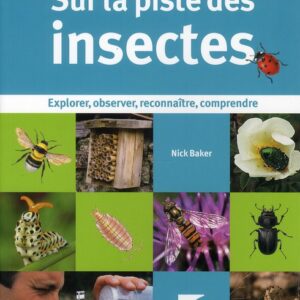 Sur la piste des insectes