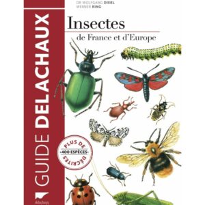 Insectes de France et d'Europe