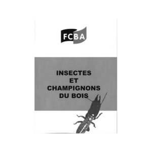 Insectes et champignons du bois