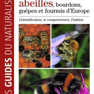 Guide des abeilles, guêpes, bourdons et fourmis d'Europe