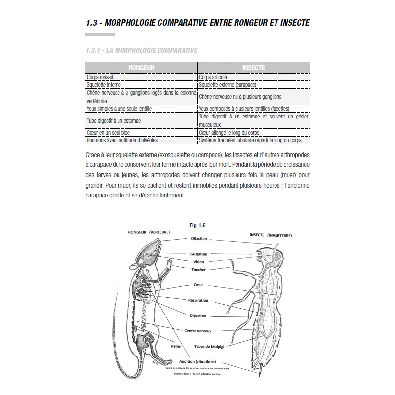 Guide scientifique de lutte anti nuisibles en santé publique